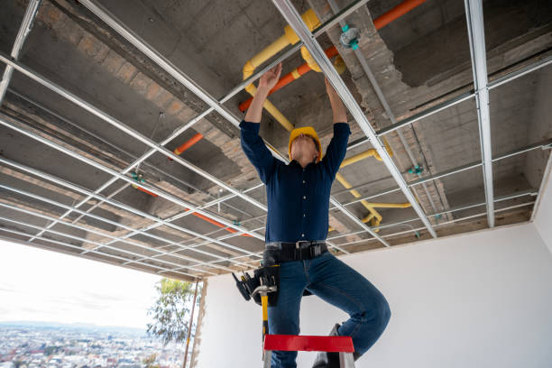 Best Same-Day Plumbing Service  in Peridot, AZ