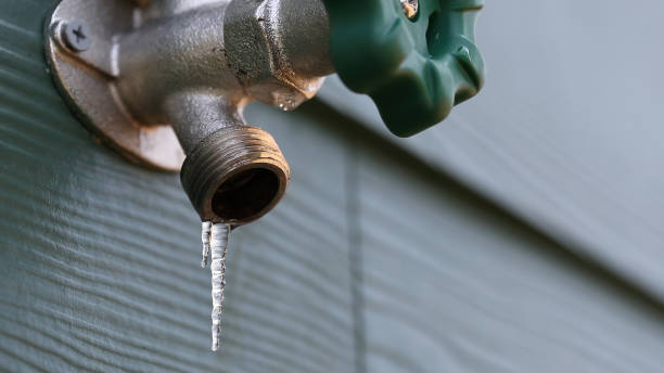 Best Plumbing Inspection Services  in Peridot, AZ